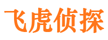 文成侦探公司